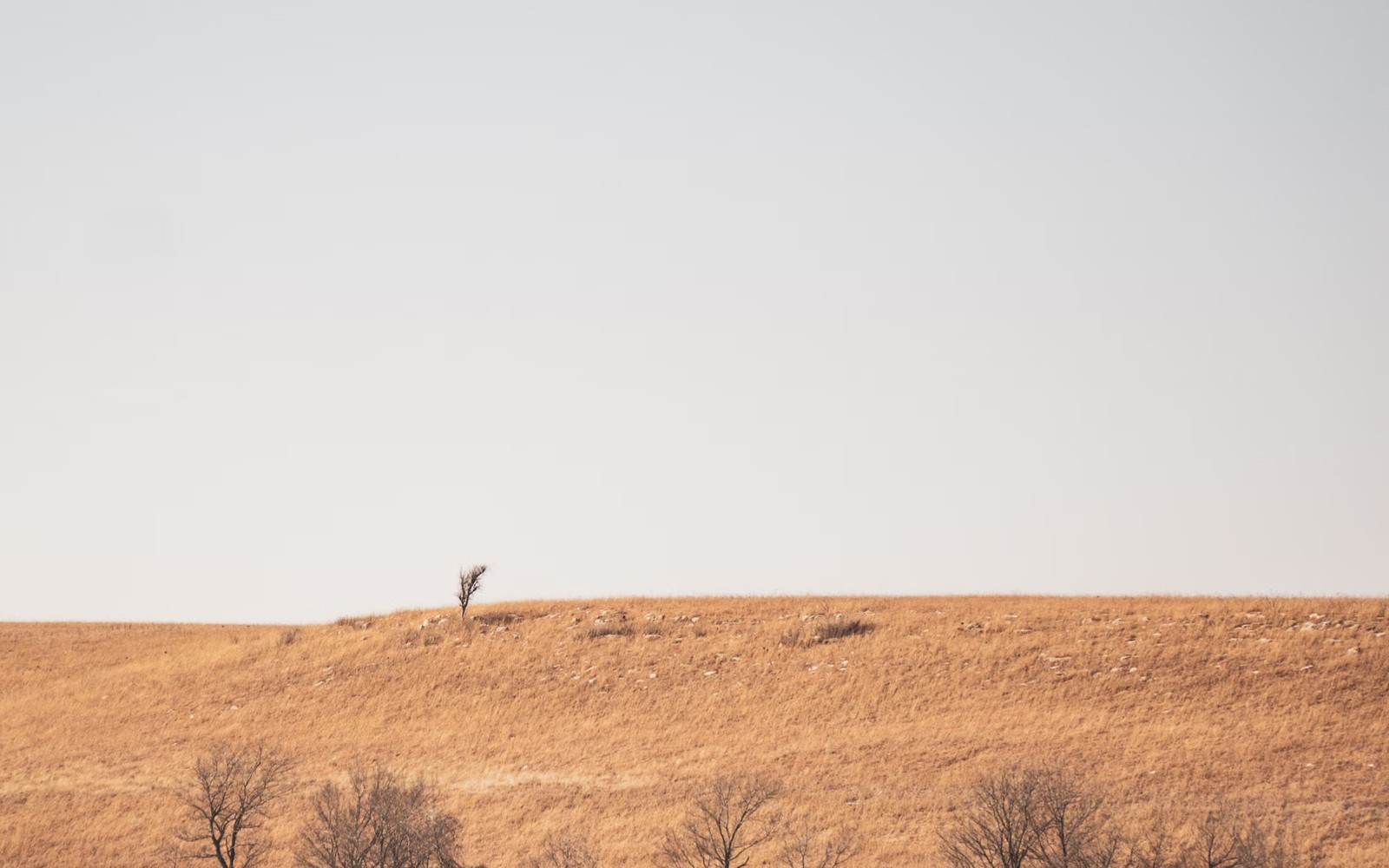 Niobrara mineral and royalty interests