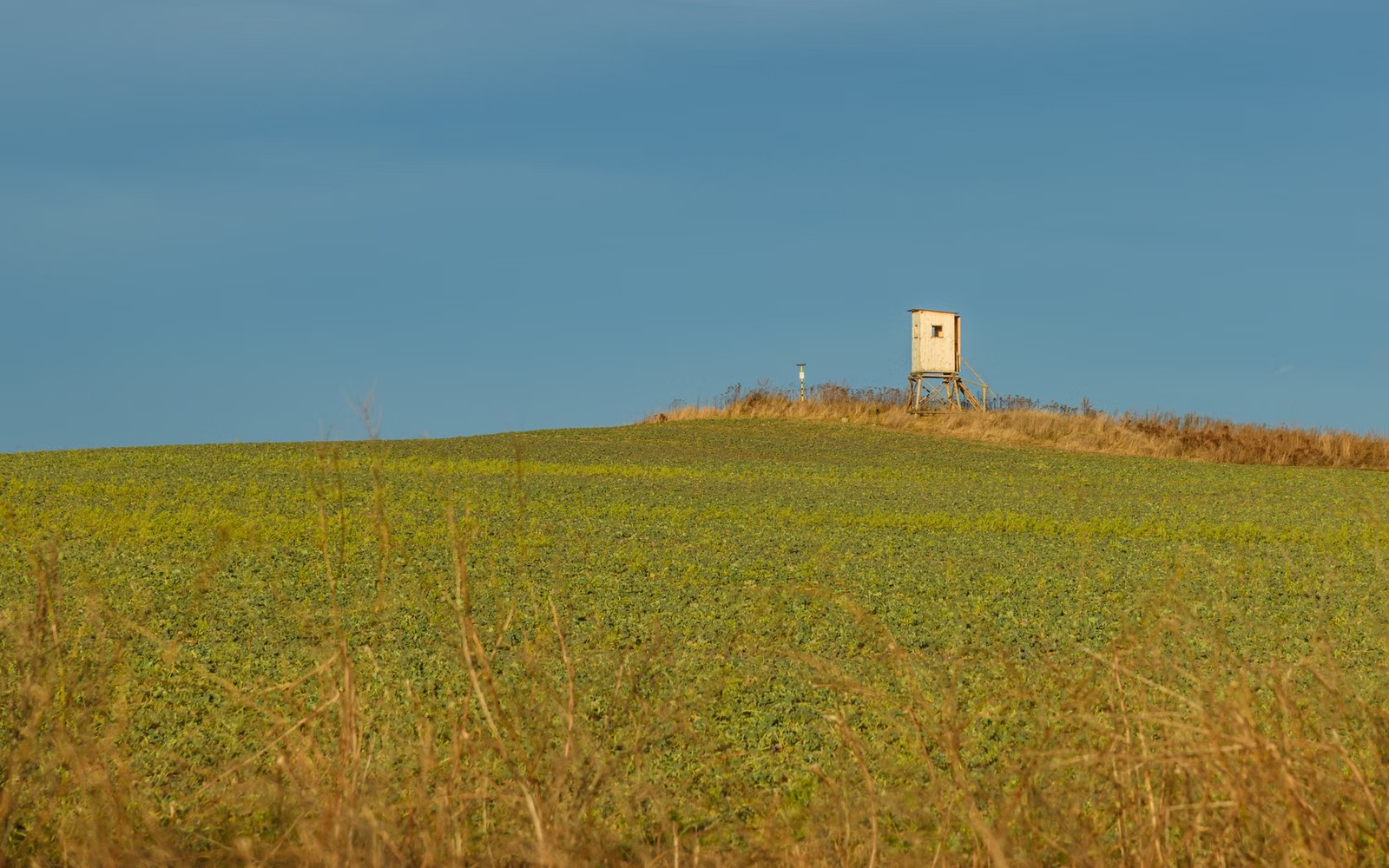 SCOOP & STACK Mineral Rights