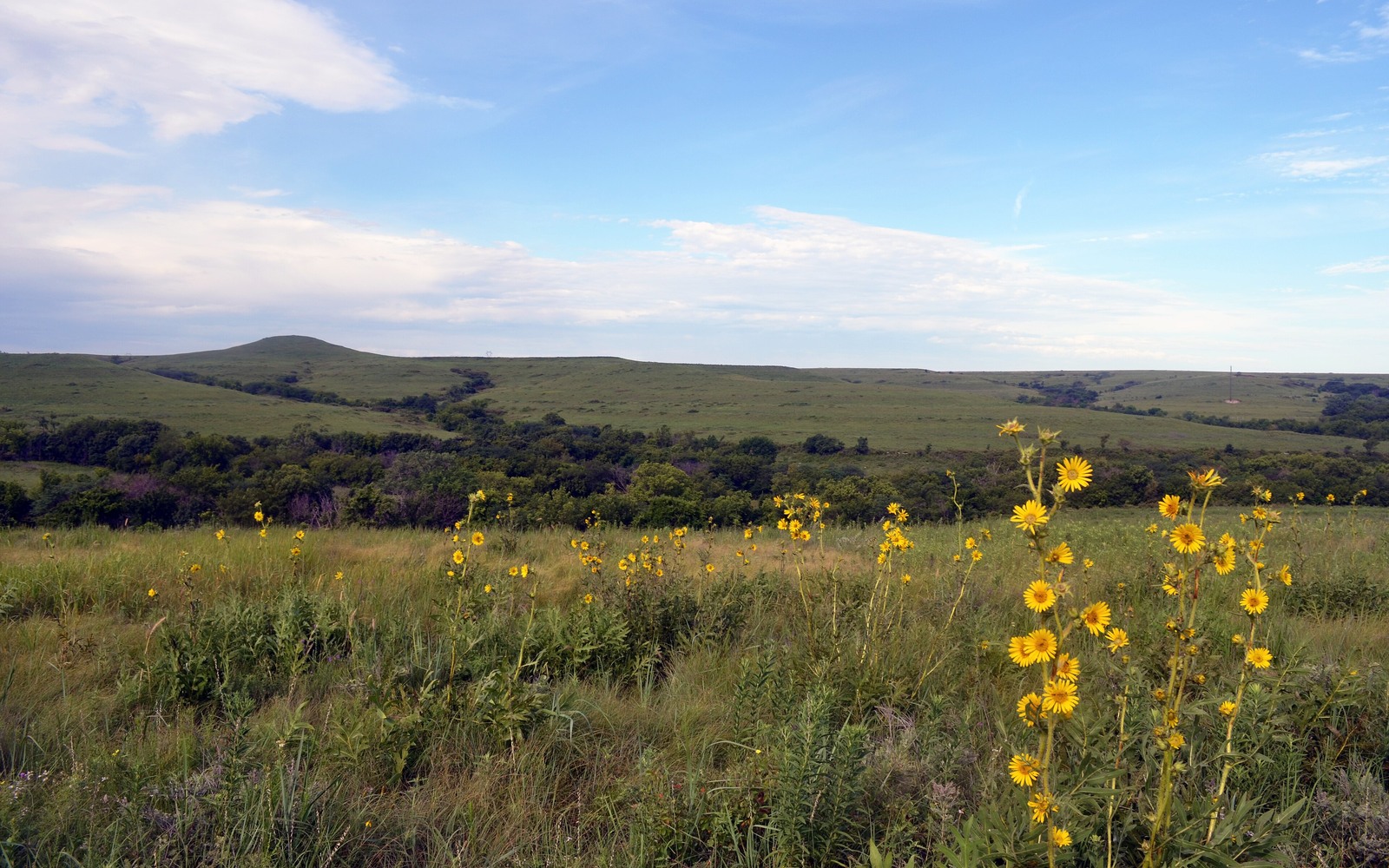 Sell Mineral Rights in Kansas
